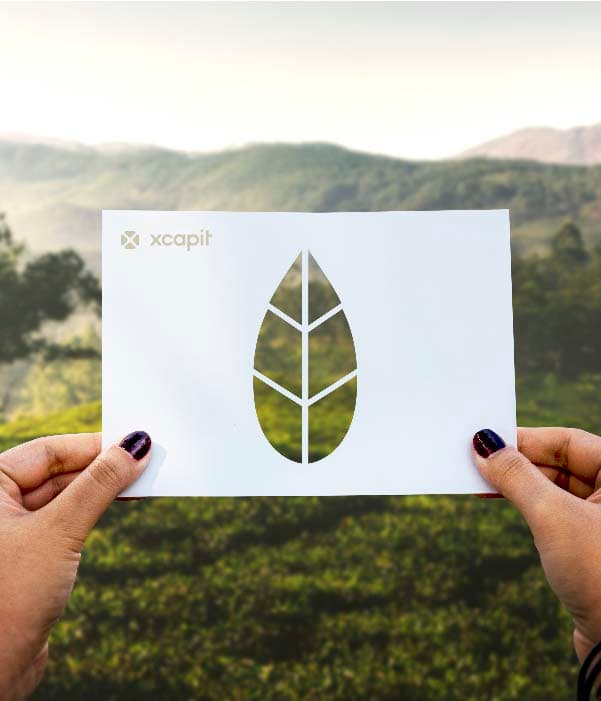 Sustainability & Carbon Credits